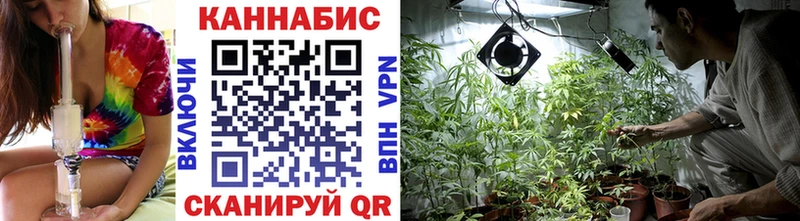 даркнет сайт  Себеж  omg вход  Каннабис семена 